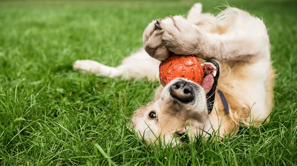 3331a8807b17148a4993a69e6a366c63.jpg 3331a8807b17148a4993a69e6a366c63.jpg