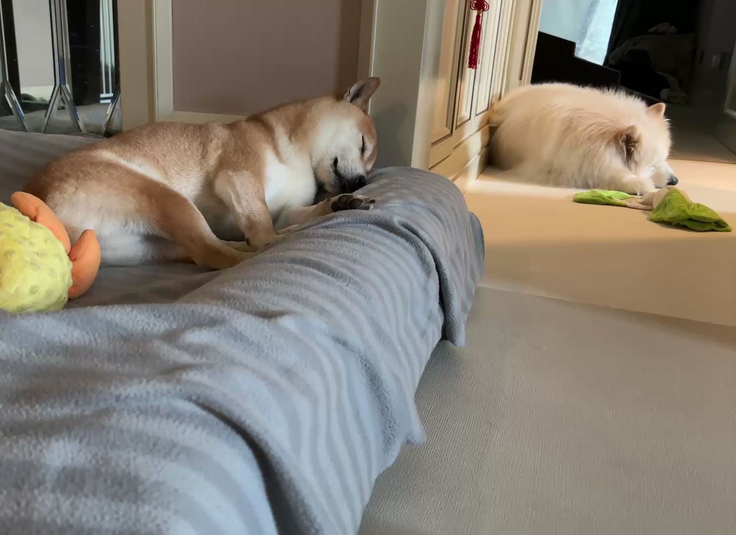 dc2f6af216ca884940eaa07b5ffc2af8.jpg dc2f6af216ca884940eaa07b5ffc2af8.jpg