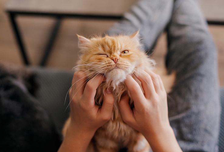 1fd841484a82f58f628b01c02c4b29ab.jpg 1fd841484a82f58f628b01c02c4b29ab.jpg