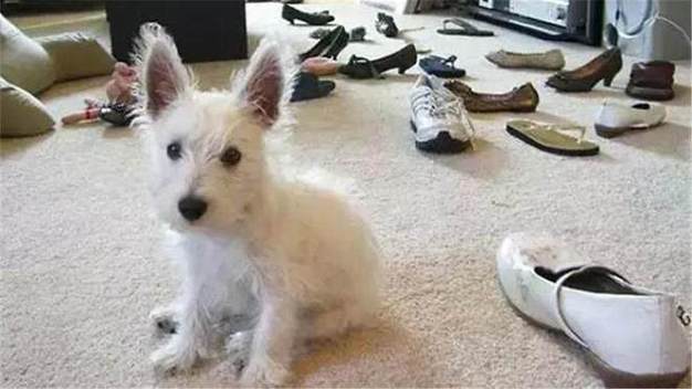 bdbdee3c1d2f0178b45088cfc83ffcbc.jpg bdbdee3c1d2f0178b45088cfc83ffcbc.jpg