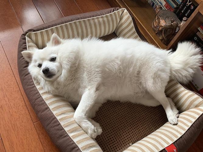 97ed1ed0a34d5e0a6bb7664e7cb84696.jpg 97ed1ed0a34d5e0a6bb7664e7cb84696.jpg