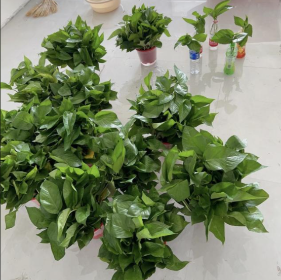 微信图片_20260120151431_24_84.png 微信图片_20260120151431_24_84.png